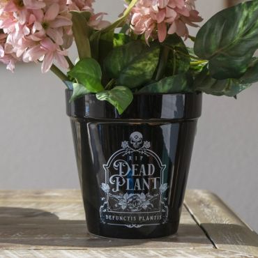RIP Dead Plant Planter 