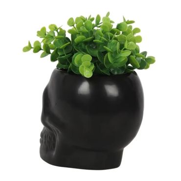 Skull Planter 